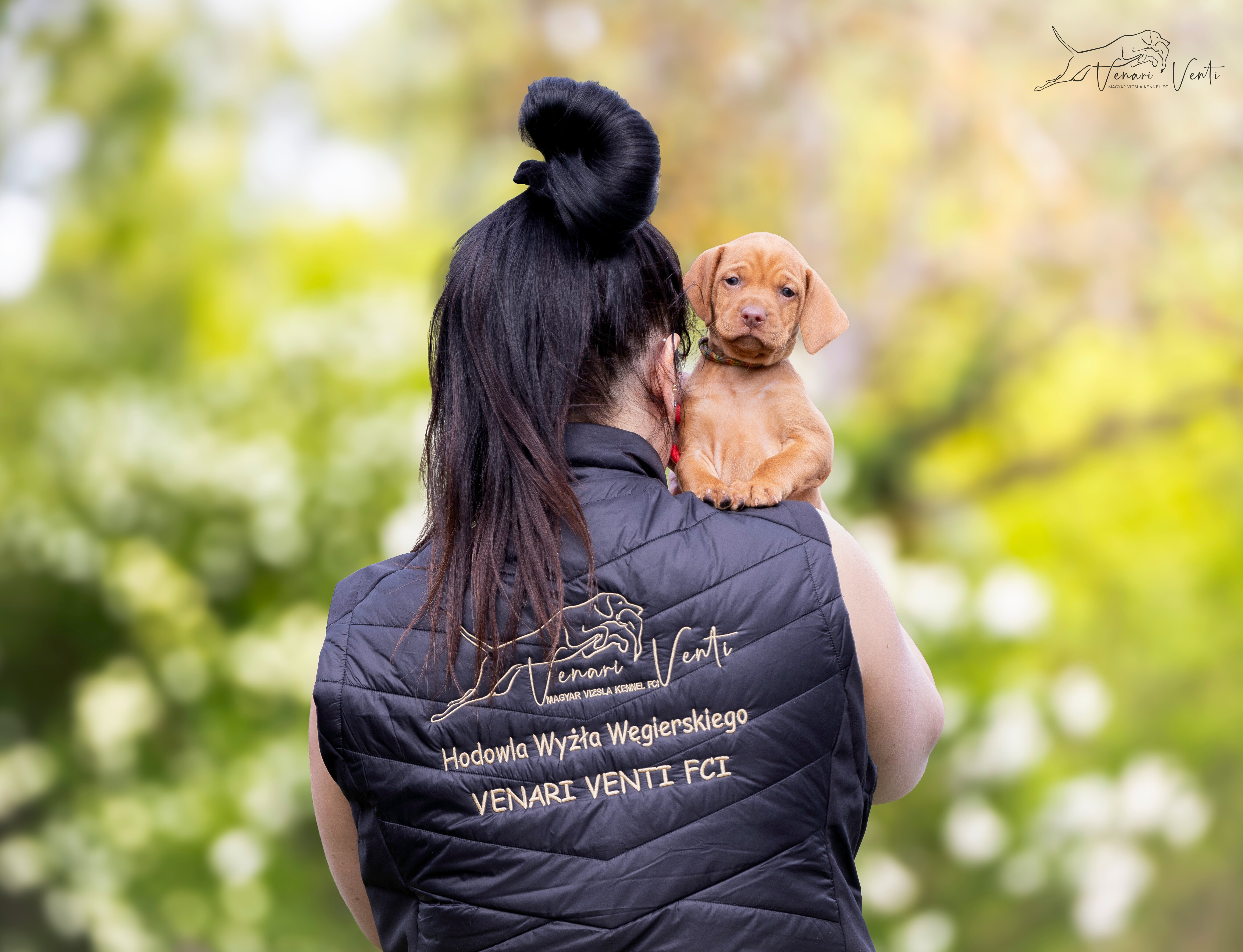 Wyżeł Węgierski Krótkowłosy - Profil