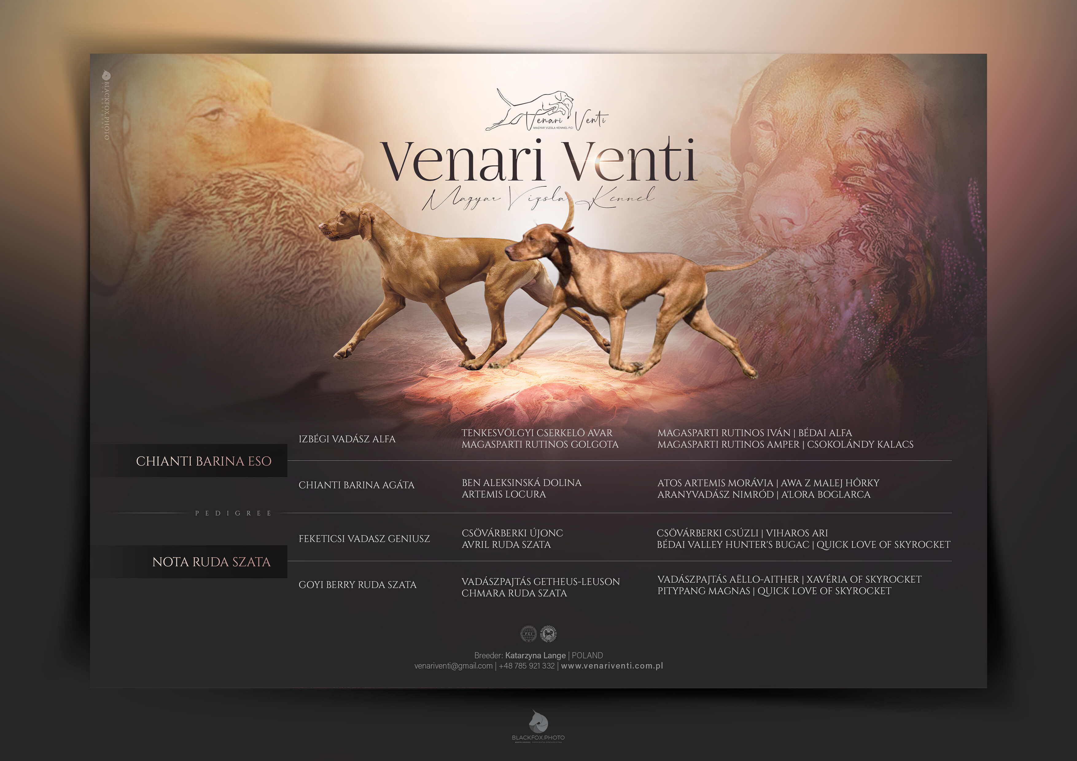 MOCKUP_A4_Hr